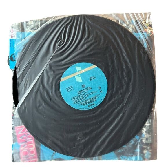VINTAGE - ROMAN HOLIDAY “COOKIN ON THE ROOF” LP 12” VINYL RECORD 1983 - Picture 4 of 4